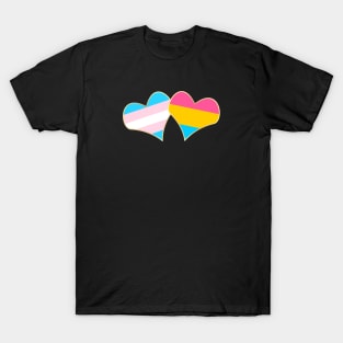 Gender and Sexuality (Pansexual) T-Shirt